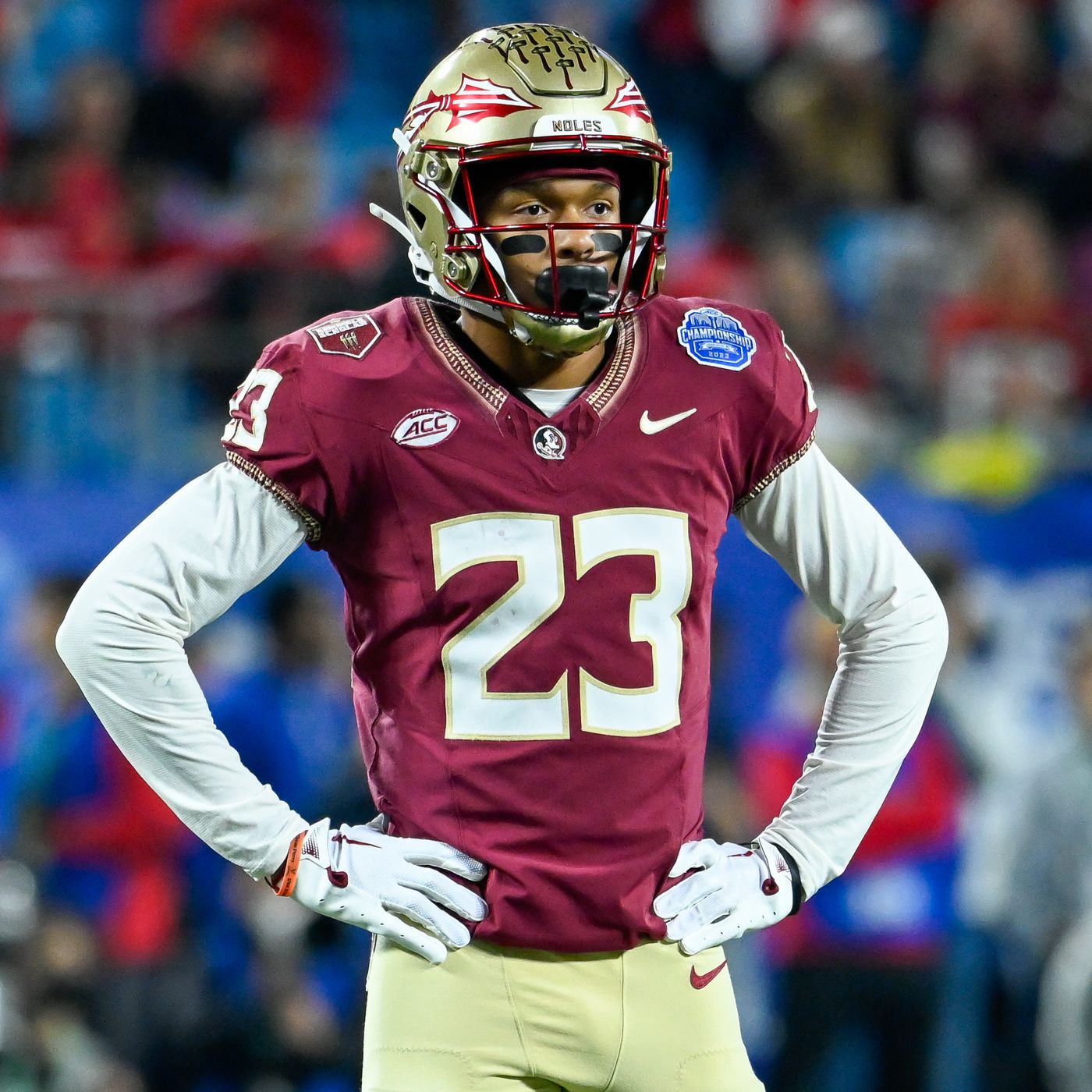 What a clear and troubling news for Florida State Seminoles See….more…….